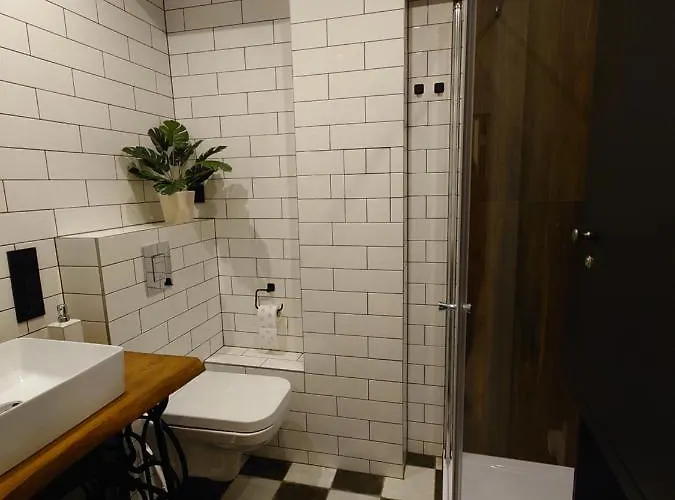 Zakorustic 公寓 扎科帕内